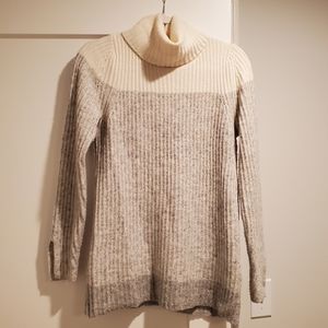 Banana Republic knit turtleneck sweater
